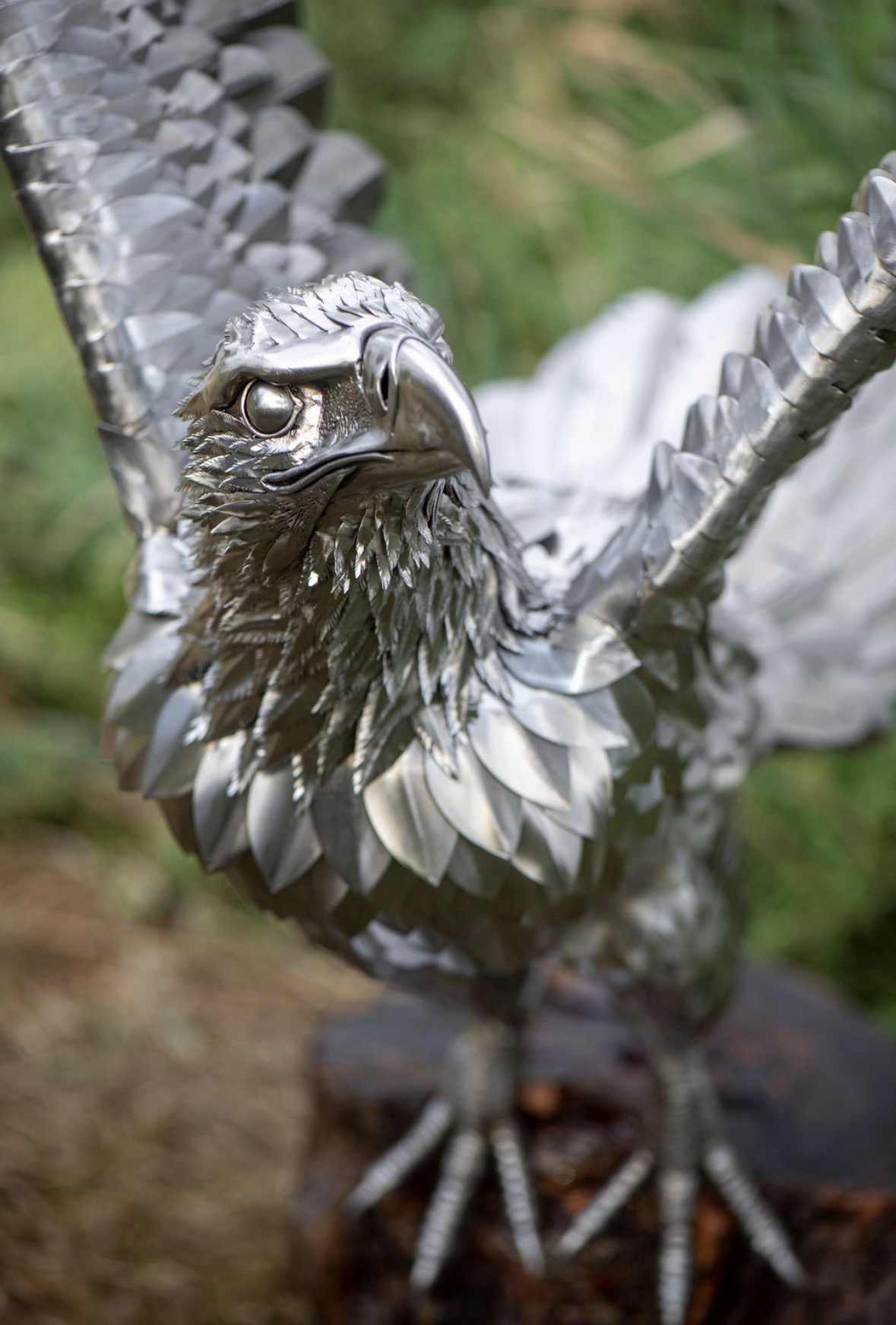 Front view of the eagle, wings spread and talons gripping a stump