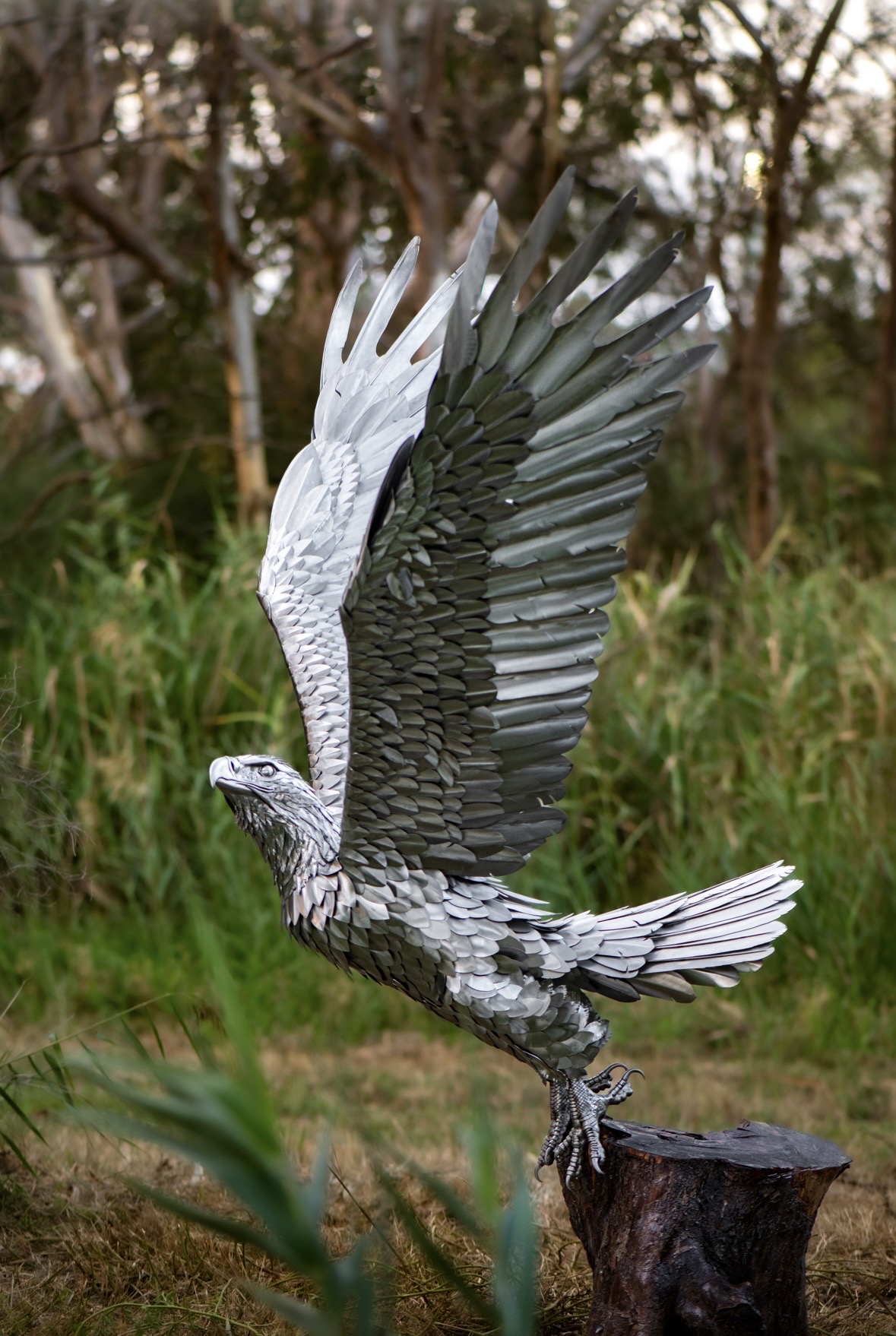 Ascension — stainless steel eagle sculpture with raised wings